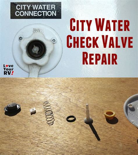 City Water Check Valve Disassembly and Repair